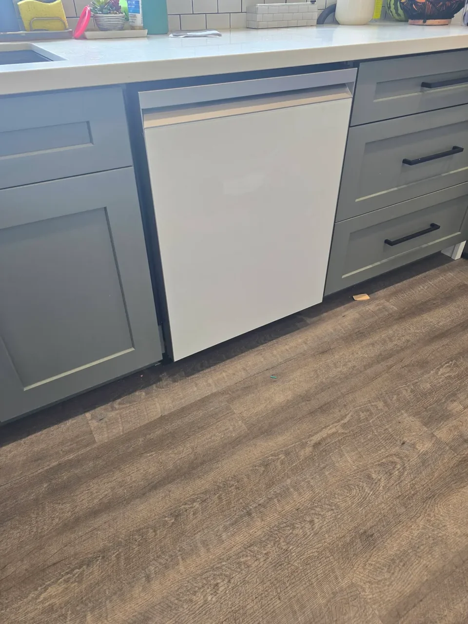 Panel-front dishwasher installed in gray shaker cabinets in a San Diego kitchen